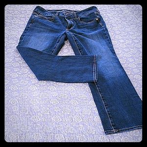 American Eagle Artist Crop Jeans